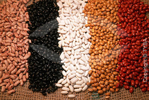  Detalhe de 5 tipos de grãos de feijão diferentes 