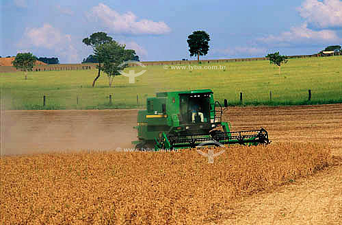  Máquina fazendo colheita em plantação de soja - Mineiros - GO - Brasil  - Mineiros - Goiás - Brasil