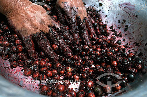  Detalhe de mãos amassando açaí - Fruta do Norte - Brasil

 