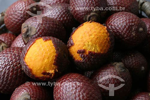  (Mauritia vinifera) Fruta - Buriti, típico do norte do Brasil, exposto no Mercado Ver-O-Peso - Belém - Pará - Brasil - 2004  - Belém - Pará - Brasil
