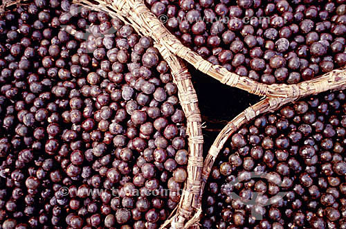  (Euterpe oleracea) Fruta - Açaí exposto no Mercado do Ver-o-Peso - Belém - PA - Brasil  - Belém - Pará - Brasil