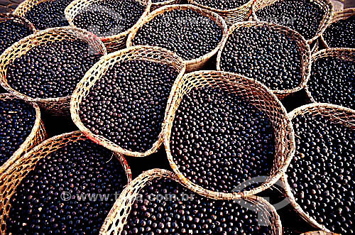  (Euterpe oleracea) Frutas -  Cestas com açai no Mercado Ver-O-Peso - Belem - PA - Brasil  - Belém - Pará - Brasil