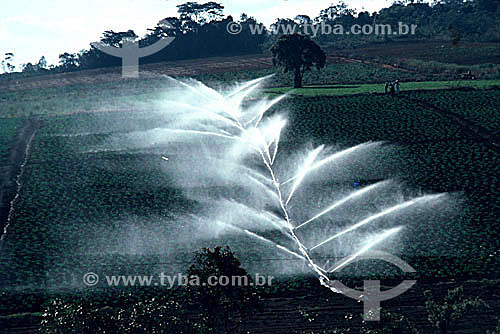  Sistema de irrigação em pequena propriedade, próximo à cidade de Campinas - SP - Brasil  - Campinas - São Paulo - Brasil