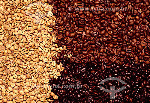  Detalhe de três tipos de grãos de café: natural e dois estágios de torrefação. 