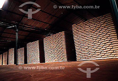  Grãos de café armazenados em sacos para exportação - Brasil 