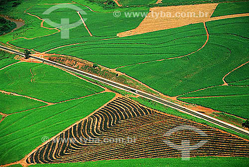  Assunto: Vista aérea de plantação de cana de açúcar (canavial)  / Local: Itapira - SP - Brasil / Data: 2006 