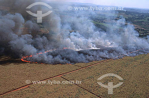  Vista aérea de queimada em plantação de cana de açúcar - Região de Bauru - SP - Brasil  - Bauru - São Paulo - Brasil