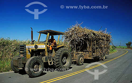  Agricultura - Trator usado no transporte de cana-de-açúcar - Campos - Rio de Janeiro - Brasil - agosto 2003  - Rio de Janeiro - Rio de Janeiro - Brasil