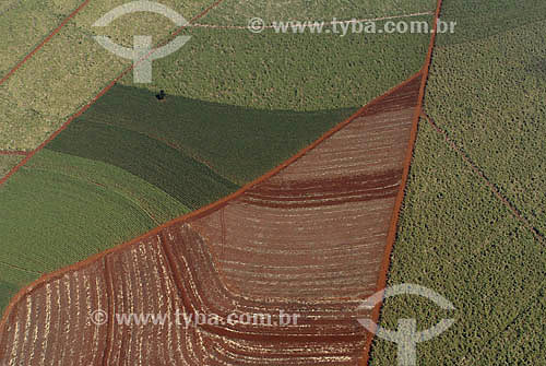  Vista aérea de plantação de Cana de Açúcar entre Piracicaba e Limeira - Agricultura - SP - Setembro de 2007  - Piracicaba - São Paulo - Brasil