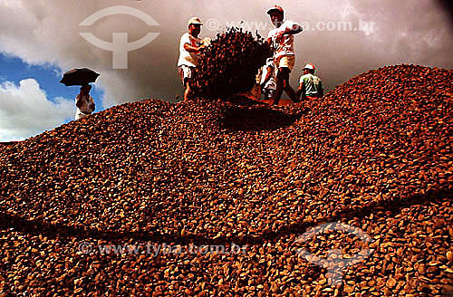  Homens fazendo o carregamento manual de castanha do Pará para exportação - Rio Branco - AC - Brasil / Data: 2004 