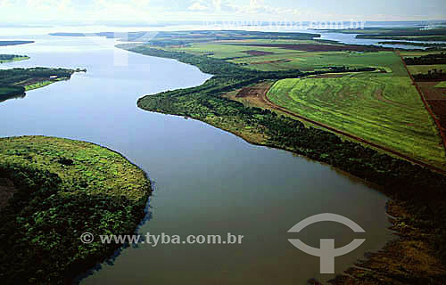 Agricultura - Plantação de soja e árvores em terras roxas - Itaiú - Paraná - Brasil  - Paraná - Brasil