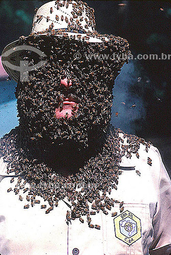  Homem no apiário com o rosto coberto por abelhas 