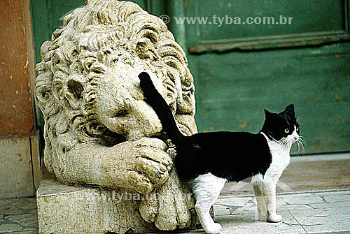  Escultura de um leão e gato 