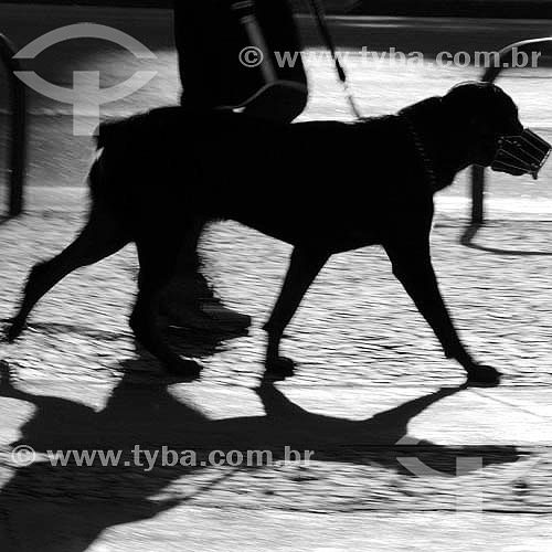  Lazer - mulher andando com cachorro (focinheira) no calçadão - Rio de Janeiro - RJ - Brasil  foto digital  - Rio de Janeiro - Rio de Janeiro - Brasil
