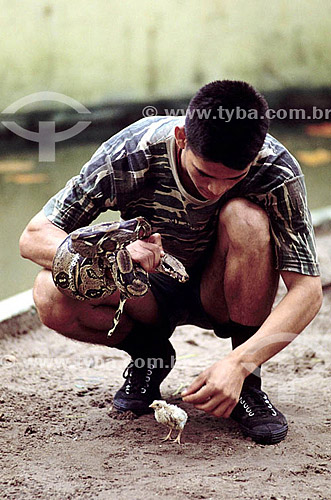  Soldado aproximando uma cobra de um pinto - Amazônia - Brasil 