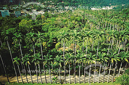  Vista aérea do Jardim Botânico - Rio de Janeiro - RJ - Brasil

  Patrimônio Histórico Nacional desde 30-05-1938.  - Rio de Janeiro - Rio de Janeiro - Brasil