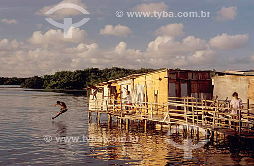  Garotos pulando no rio em uma favela de Palafitas sobre o Rio Capibaribe - Recife - Pernambuco - Brasil  - Recife - Pernambuco - Brasil