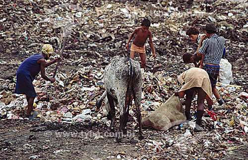  Lixão - Aterro Sanitário - Pessoas catando lixo junto com animais e crianças - São Gonçalo  - RJ - BrasilData: 2000 