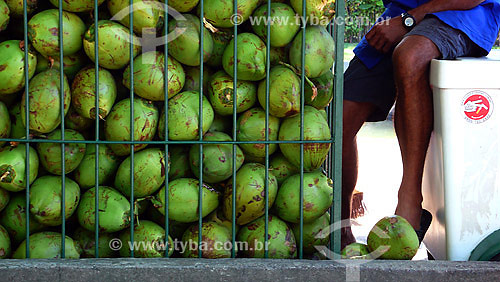  Vendedor de côcos - Ambulante - Rio de Janeiro - RJ - Dezembro de 2007  - Rio de Janeiro - Rio de Janeiro - Brasil