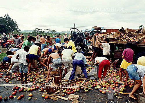  Pessoas saqueando frutas em acidente com caminhão 