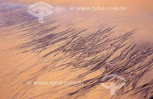  Efeito visual: areia  - Caraíva - BA - Brasil  - Porto Seguro - Bahia - Brasil