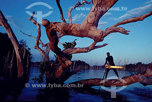  Assunto: Ambiental - Homem com serra elétrica em cima de tronco de árvore em inundação da construção da Hidrelétrica Tucuruí / Local: Tucuruí - PA - Brasil / Data: Década de 80 