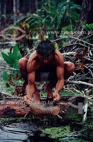  Ambiental - Homem resgatando animais (tatu) na inundação da construção da Hidrelétrica Balbina - AM - Brasil  - Presidente Figueiredo - Amazonas - Brasil