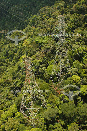  Torres de transmissão, cabos de alta-tensão - Mata Atlântica - Rio de Janeiro - Brasil  - Cabo Frio - Rio de Janeiro - Brasil