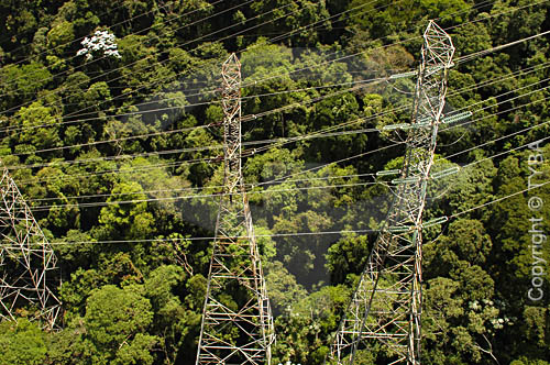  Linhas de transmissão de energia elétrica - torres de transmissão - cabos de alta tensão - Mata Atlântica - Rio de Janeiro - RJ - Brasil  - Cabo Frio - Rio de Janeiro - Brasil