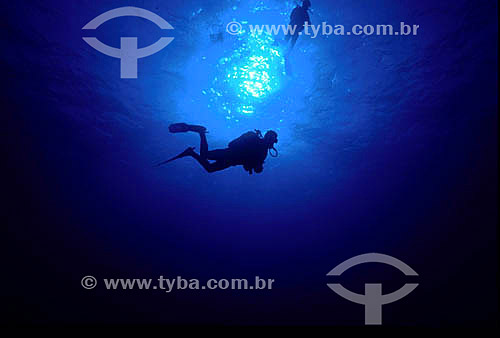  Silhuetas de mergulhadores no fundo do mar 