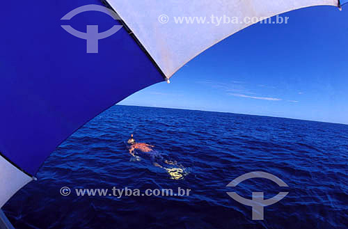  Snorkel - Mergulhador em alto mar 
