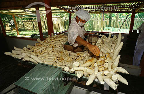  Preparação da farinha de mandioca em área rural - município de Cruzeiro do Sul - Acre - maio de 2001  - Cruzeiro do Sul - Acre - Brasil