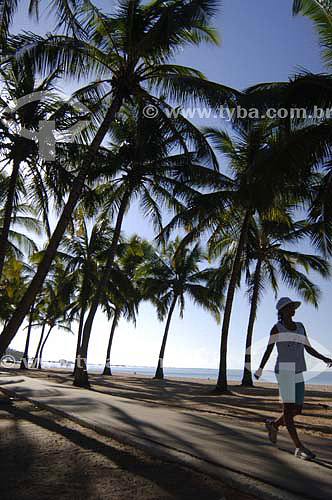  Mulher caminhando entre coqueiral na Praia de Pajuçara - Maceió - Alagoas - Brasil - Março 2006  - Maceió - Alagoas - Brasil