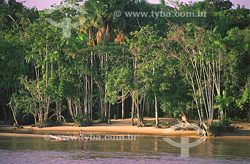  Praia do Rio Amazonas na Reserva Biológica da Fazendinha - Macapá - AP - Brasil - fevereiro de 2001.  - Macapá - Amapá - Brasil