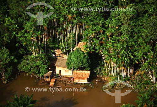  Imagem aérea da floresta amazônica e habitação ribeirinha nas margens do rio Amazonas. Município do Mazagão - AP - Brasil  - Mazagão - Amapá - Brasil
