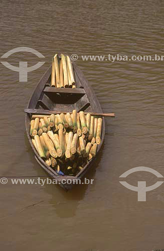  Canoa com palmitos de açaí - Município de Mazagão - Amapá - Brasil  - Mazagão - Amapá - Brasil