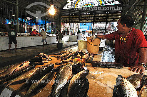  Vendedor de peixe - Mercado Municipal de Manaus - Amazonas  - Manaus - Amazonas - Brasil