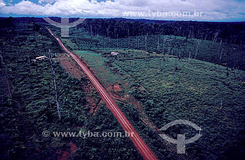  Vista aérea daTransamazônica - AM - Brasil  - Amazonas - Brasil