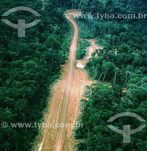  Rodovia Transamazônica - Amazonas - BrasilData: 2006 