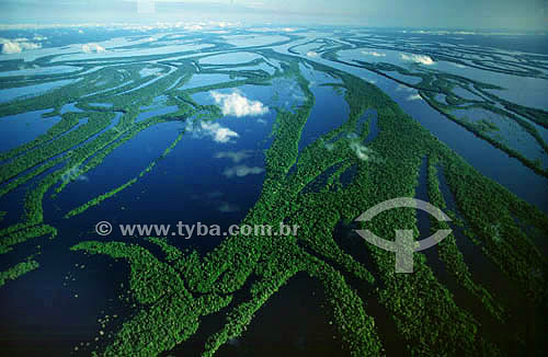  Arquipélago de Anavilhanas no centro do Rio Negro (alcança 24 KM de extensão) - Amazônia - AM - Brasil  - Novo Airão - Amazonas - Brasil
