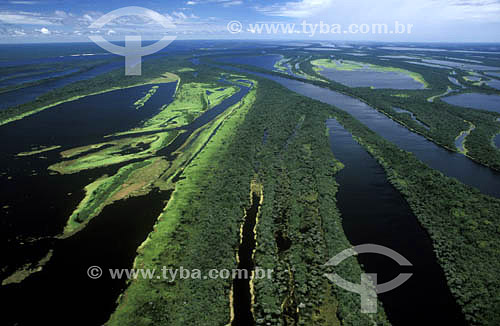  Arquipélago de Anavilhanas no centro do Rio Negro (alcança 24 KM de extensão) - Amazônia - AM - Brasil / 2005
  - Novo Airão - Amazonas - Brasil
