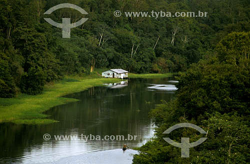  Vista aérea, cabana à beira de rio - Amazônia - Brasil / 2005 