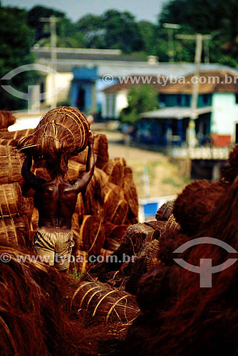  Homem carregando piaçaba, fibra usada na fabricação de vassouras - Barcelos, antiga capital do Estado do Amazonas - AM - Brasil  - Barcelos - Amazonas - Brasil