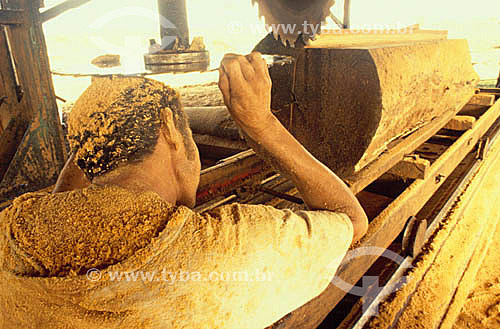  Madeireira - Homem cortando tora de madeira coberto de serragem- AM - Brasil  - Amazonas - Brasil