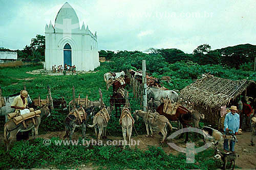  Homens com cavalos, mulas e igreja ao fundo - CE - Brasil  - Ceará - Brasil