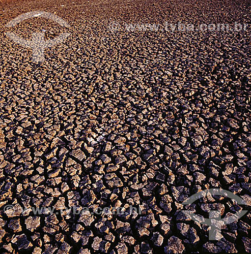  Textura do solo rachado pela seca - CE - Brasil  - Ceará - Brasil