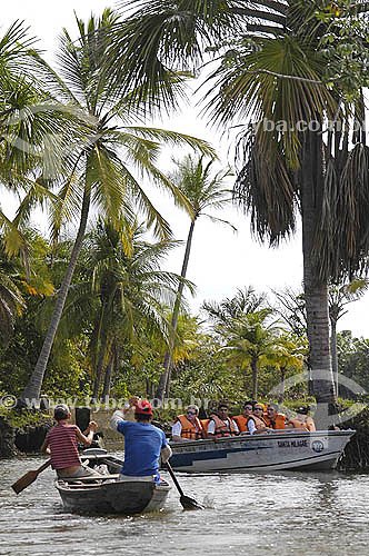  Barco de Turismo em Barreirinhas - Maranhão - Brasil - fevereiro 2006  - Barreirinha - Maranhão - Brasil