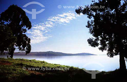  Árvores na beira do lago da Represa de Furnas - Areal - Minas Gerais - Brasil - Julho de 2002  - Areal - Minas Gerais - Brasil
