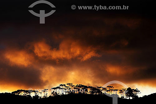  Crepúsculo em Monte Verde - MG - Brasil  - Santa Bárbara do Monte Verde - Minas Gerais - Brasil