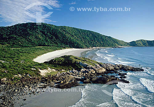  Praia de Fora - Ilha do Mel  - PR - Brasil / Data: 2001

  O trecho da Mata Atlântica que inicia-se na Serra da Juréia, em Iguape/SP e vai até à Ilha do Mel, em Paranaguá/PR é Patrimônio Mundial Natural da UNESCO desde 1999.  